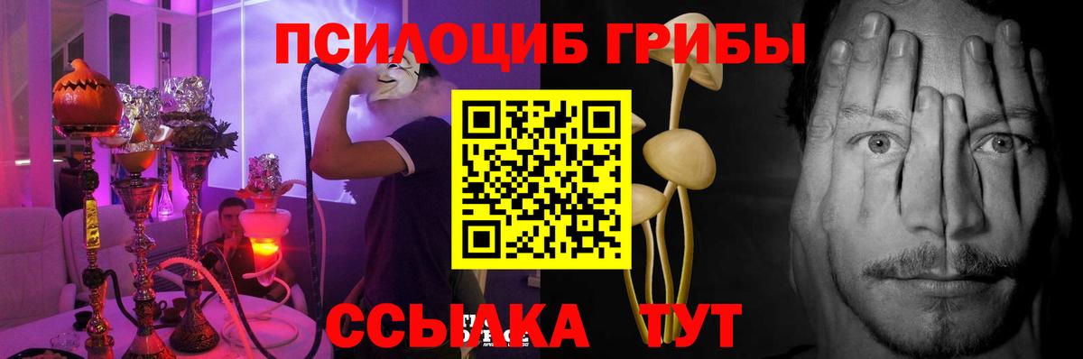 Галлюциногенные грибы прущие грибы Соликамск